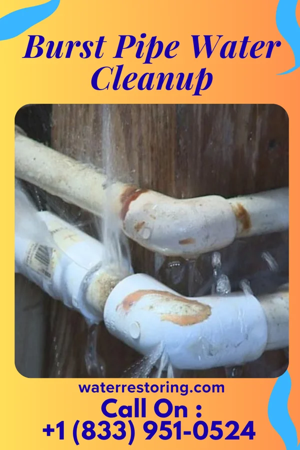 Burst Pipe Water Cleanup in De Valls Bluff, AR