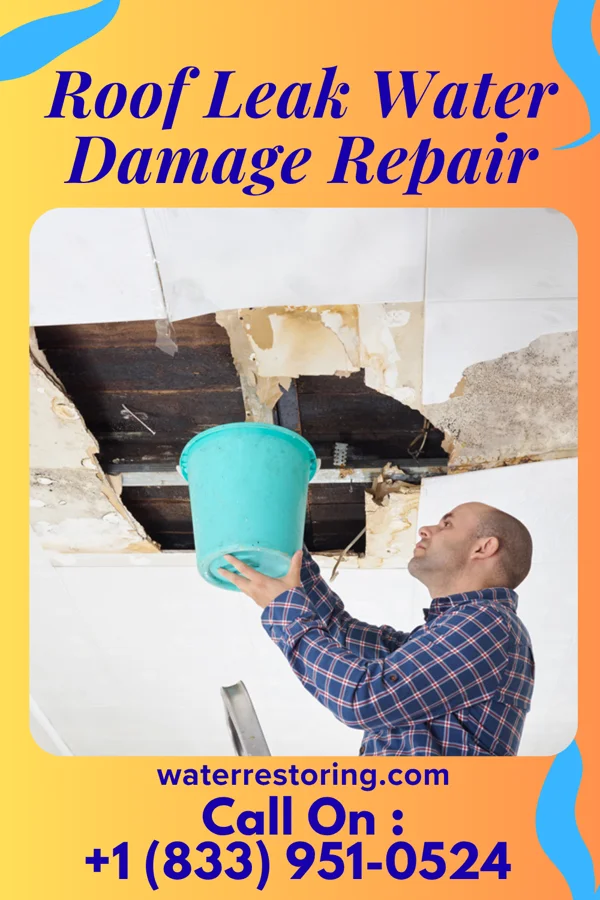 Roof Leak Water Damage Repair in De Valls Bluff, AR