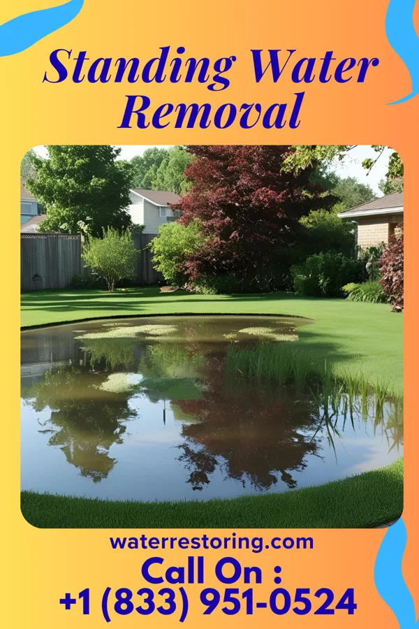 Standing Water Removal in De Valls Bluff, AR